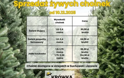 Sprzedaż choinek na Święta – Rozpoczęcie 10 grudnia 2025 r.